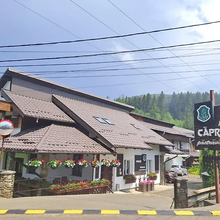 Pensiunea Căprioara Voroneț-2